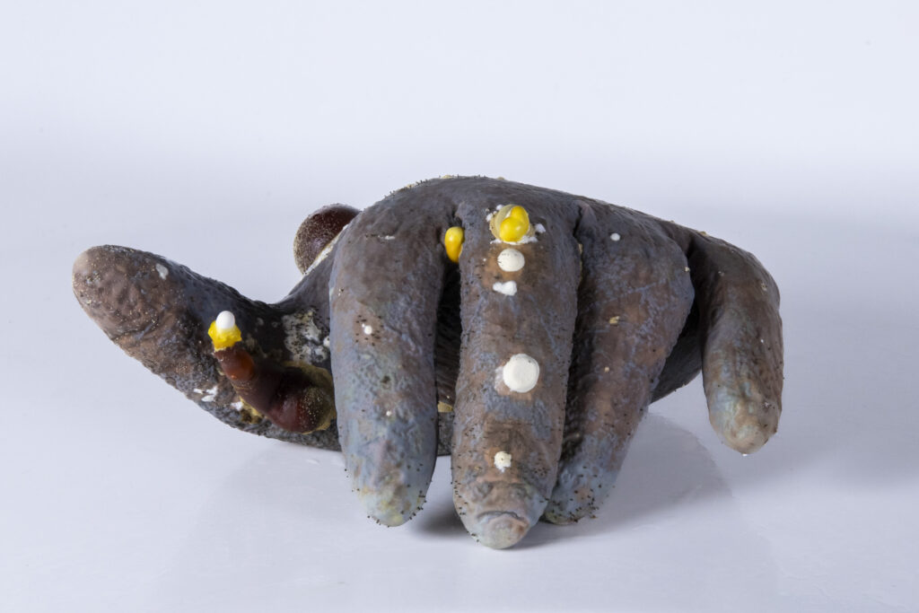 Objekt aus Latexhandschuh mit verdichteten myzelartigen Auswüchsen.