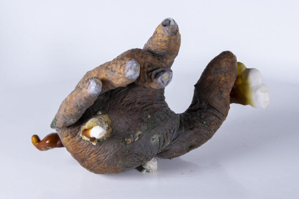 Latexhandschuh mit fingerartigen myzelartigen Strukturen, ungleichmäßig angeordnet.