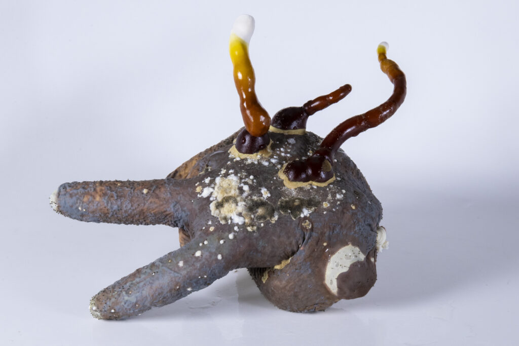 Latexhandschuh mit myzelartigen Auswüchsen unterschiedlicher Länge und Dichte.