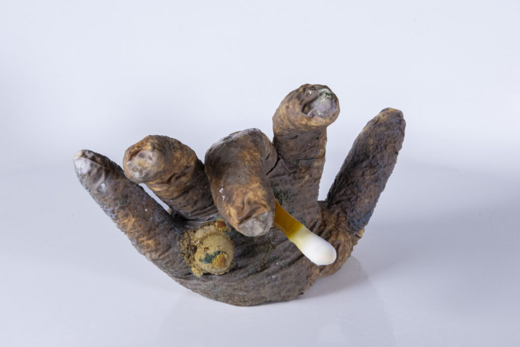 Objekt aus Latexhandschuh mit myzelbedingten Ausformungen, organisch verteilt.