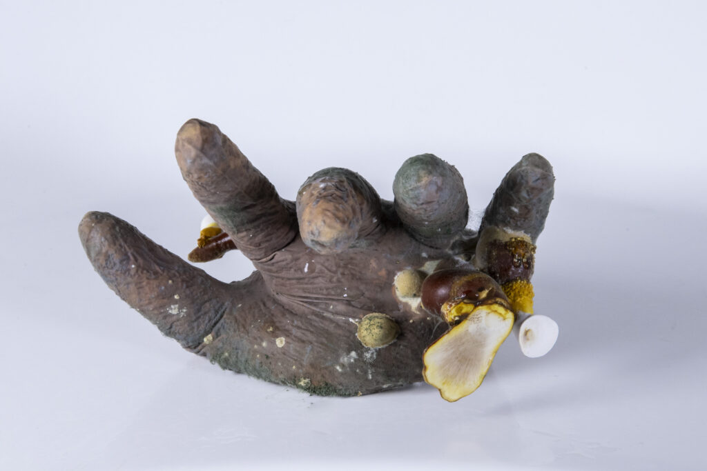 Latexhandschuh mit myzelartigen Auswüchsen, teilweise verdichtet und unterschiedlich ausgeprägt.