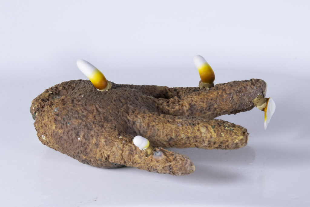 Latexhandschuh mit mehreren myzelartigen Ausstülpungen, organisch gewachsen und asymmetrisch verteilt.