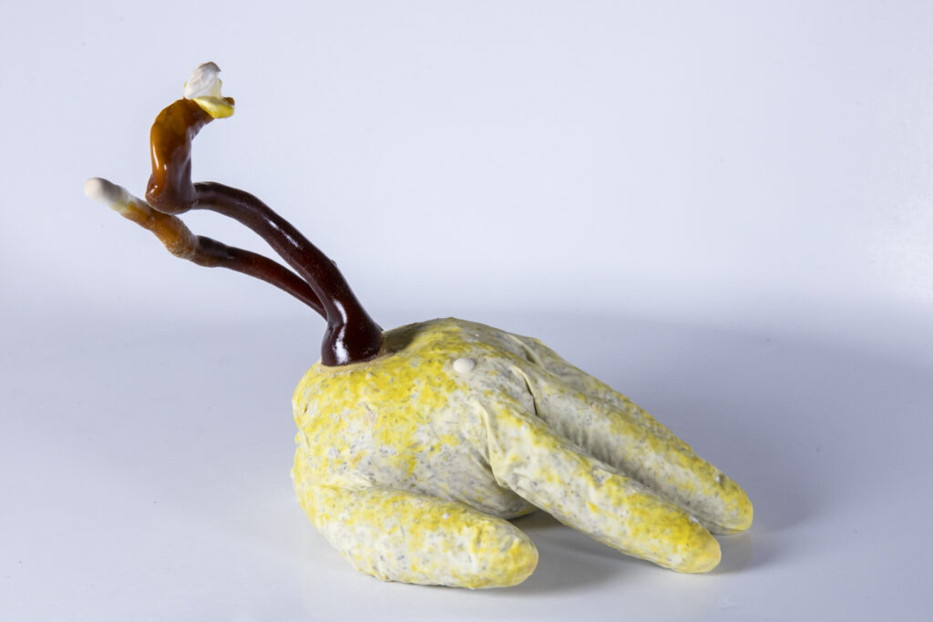 Objekt aus Latexhandschuh mit fingerartigen Auswüchsen aus Myzel, unregelmäßig geformt.