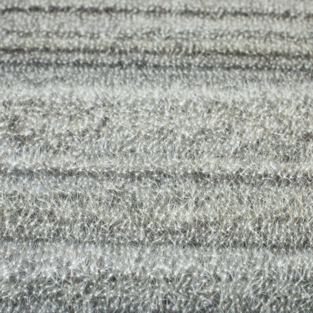 Nahaufnahme der Oberfläche einer Bildtafel mit dicht gesetzten Löwenzahnsamen in vertikaler Ausrichtung.