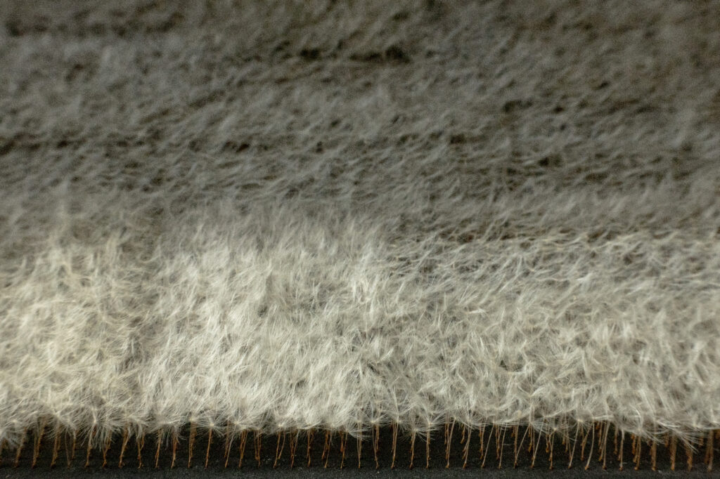 Nahaufnahme der Oberfläche einer Bildtafel mit dicht gesetzten Löwenzahnsamen in vertikaler Ausrichtung.